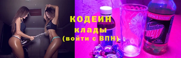 дживик Надым