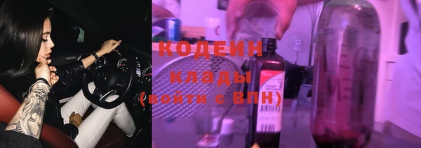 дживик Надым