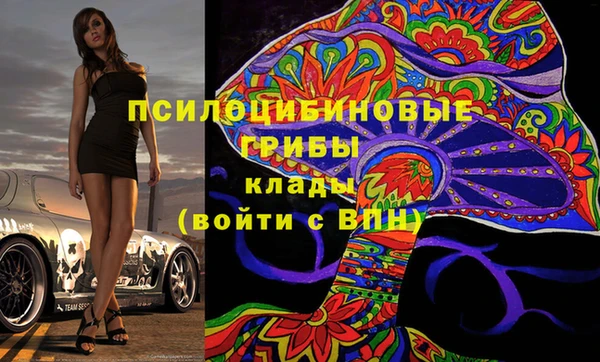 трава Ахтубинск