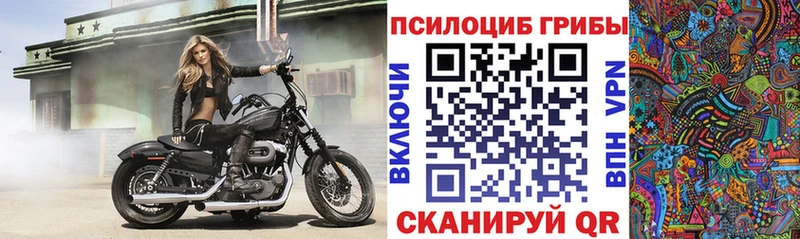 Псилоцибиновые грибы Psilocybine cubensis площадка какой сайт Пудож mega ТОР
